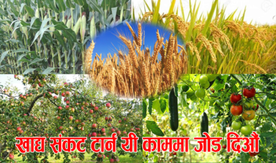 खाद्य संकट हुनसक्ने भएकाले सरकारलाई सचेत भएर काम गर्न विज्ञको सुझाव
