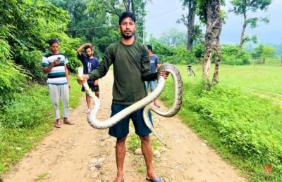 घरको आँगनबाट अजिङ्गर उद्धार
