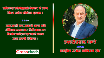 राज्यले निजी क्षेत्रलाई निरुत्साहित बनाएपछि अर्थतन्त्रले गति लिनसक्ने अवस्था नै हुँदैन : अध्यक्ष पाण्डे (अन्तर्वार्ता)