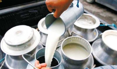 चितवन मिल्क उद्योग एक महिनापछि पुनः सञ्चालनमा