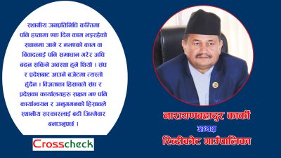 बजेट स्थानीय तहमा पठाएर नियमन गर्ने काम संघीय सरकारले गर्नुपर्छ (अन्तर्वार्ता)