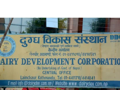 दुग्ध विकास संस्थानले तिर्‍यो ३१ वर्षको सम्पत्ति कर
