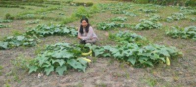 उदाहरणीय कृषि कार्य गर्दै उपमेयर क्षेत्री