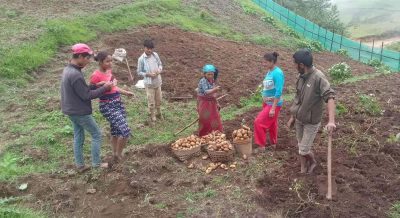 आलुखेती प्रवर्द्धन गर्न कोसेली घर सञ्चालन