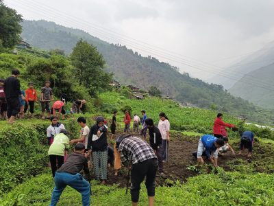 ‘धवलागिरिको इच्छा, गरिखाने शिक्षा’ नारासहित तरकारी खेतीमा शिक्षक र विद्यार्थी
