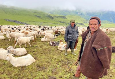जसले आफ्नो पूरै जीवन गोठालोमा बिताए, उनीहरु छन् न्यानो कपडाको खोजीमा