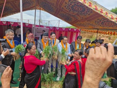 देशभर विभिन्न कार्यक्रमको आयोजना गरी ‘कोदो दिवस-२०८२’ मनाइयो