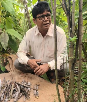 भारतको कारखानामा सात वर्ष रोजगारी गरेपछि स्वदेशमै पौरख गर्ने हुटहुटीले लाहाखेती  