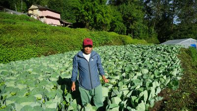 अन्नपूर्ण गाउँपालिका-७ टिकोटमा रासायनिक मल भित्रिएको छैन