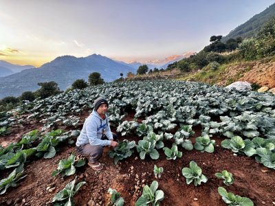 तीन दशकपछि गाउँ फर्किएर व्यवसायिक कृषि कर्म रोजे कमलप्रसादले