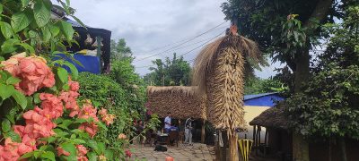 तनहुँमा मकै उत्पादन बढेपछि कृषक खुशी