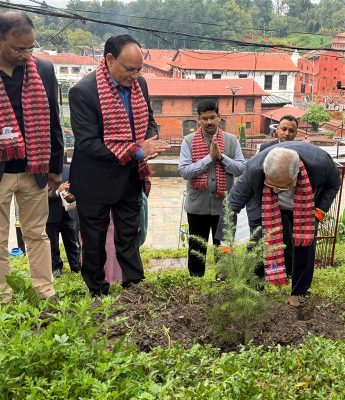 नेपाल एसबिआई बैंकद्वारा कैलाश डाँडामा वृक्षारोपण