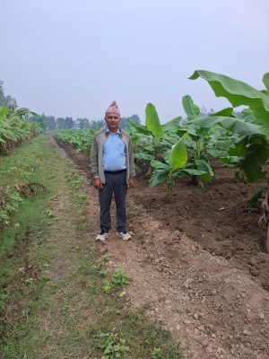 शिक्षणसँगै सफल कृषक बने शिक्षक घिमिरे
