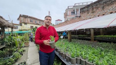 नर्सरीबाटै वार्षिक चालीस लाख आम्दानी गर्दै युवा व्यवसायी अधिकारी