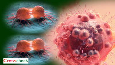 क्यान्सरबाट हरेक वर्ष दश लाख ज्यान जाँदो
