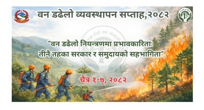 वन डढेलो नियन्त्रणमा प्रभावकारिताः तीनै तहका सरकार र समुदायको सहभागिता