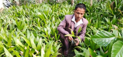 अर्काको मजदुरी गर्ने भीमबहादुर सफल उद्यमीका रूपमा स्थापित