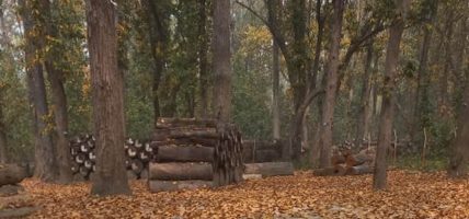 कञ्चनपुरमा डढेलोको जोखिम बढ्दो, पूर्वतयारी कमजोर