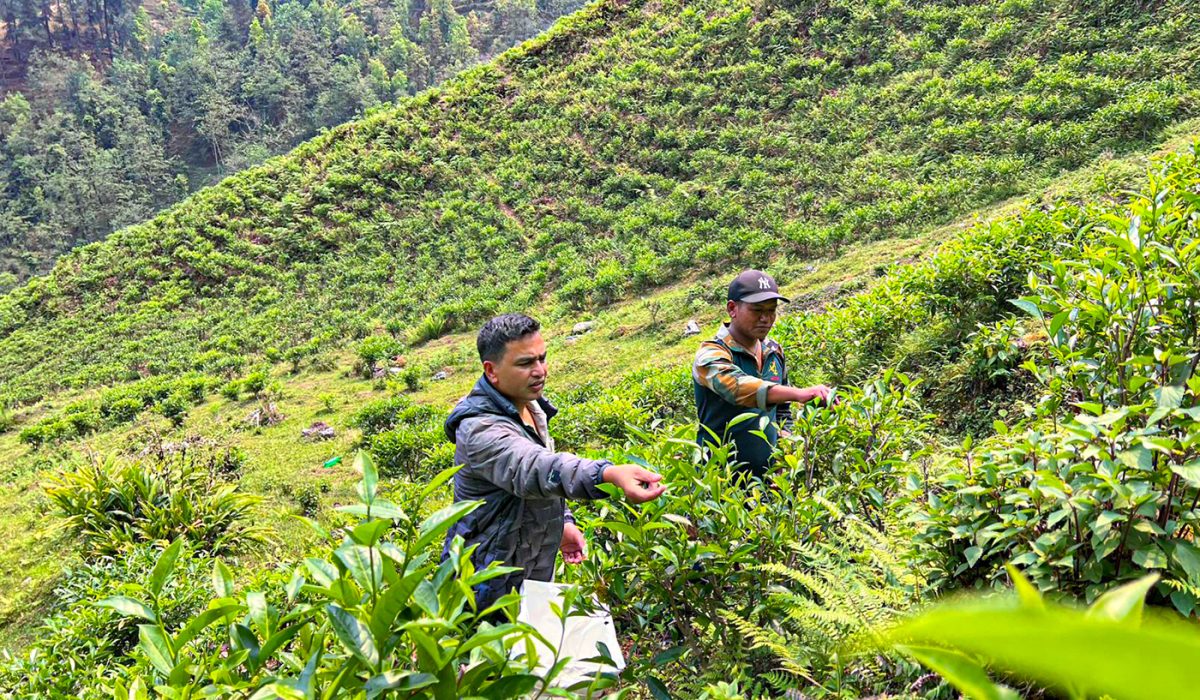 वडाध्यक्षको एउटा जुक्तिले बसाइँसराइ रोकियो