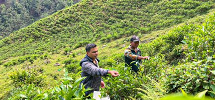 वडाध्यक्षको एउटा जुक्तिले बसाइँसराइ रोकियो