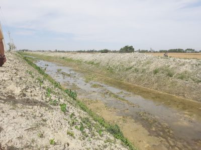 गण्डक नहर सरसफाइ अभियान तीव्र गतिमा