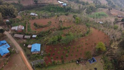 हतुवागढी गाउँपालिका लुङ्गिनका किसान व्यावसायिक सुन्तला खेतीमा आकर्षित