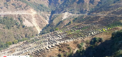 भुम्लु गाउँपालिकामा धमाधम लालपूर्जा वितरणको कार्य अघि बढाइँदै