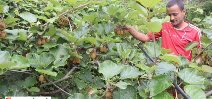 झाडी फाँडेर फलफूल बगैंचा, स्वरोजगारीसँगै राम्रो आम्दानी