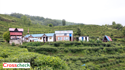 चियाबारीको हरियालीमा फक्रिँदै ल्वाङको पर्यटन