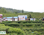चियाबारीको हरियालीमा फक्रिँदै ल्वाङको पर्यटन