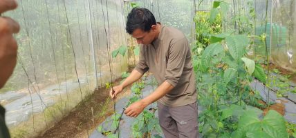 कोरियाबाट फर्केर व्यावसायिक कृषि फार्म सञ्चालन
