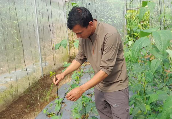 कोरियाबाट फर्केर व्यावसायिक कृषि फार्म सञ्चालन