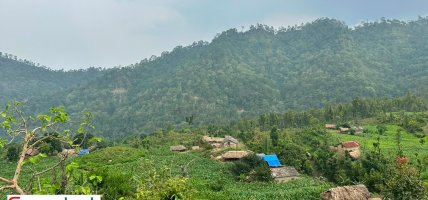 डडेलधुराको पलगडी गाउँ भौतिक विकासको पर्खाइमा