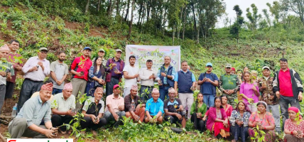 सामुदायिक वनलाई रुद्राक्ष पकेट क्षेत्र बनाइने